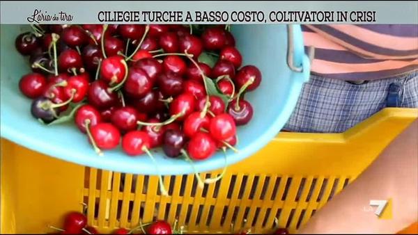 Gigolo accompagnatore annunci gay bs Video gay italy escort a basso costo roma