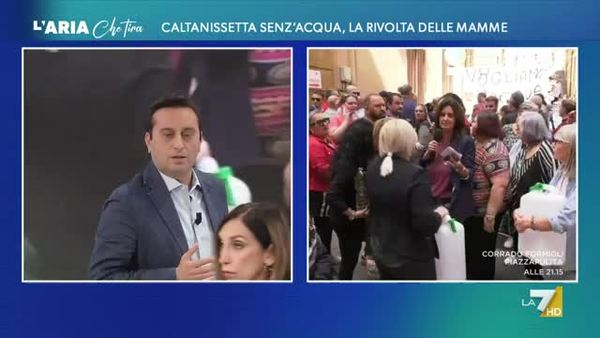 Fuori Programma A Omnibus Il Gatto Irrompe In Diretta Tg La