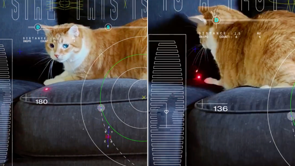 La Nasa trasmette il video di un gatto nel primo streaming via