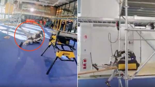 vero acciaio tutti i personaggi dei robot