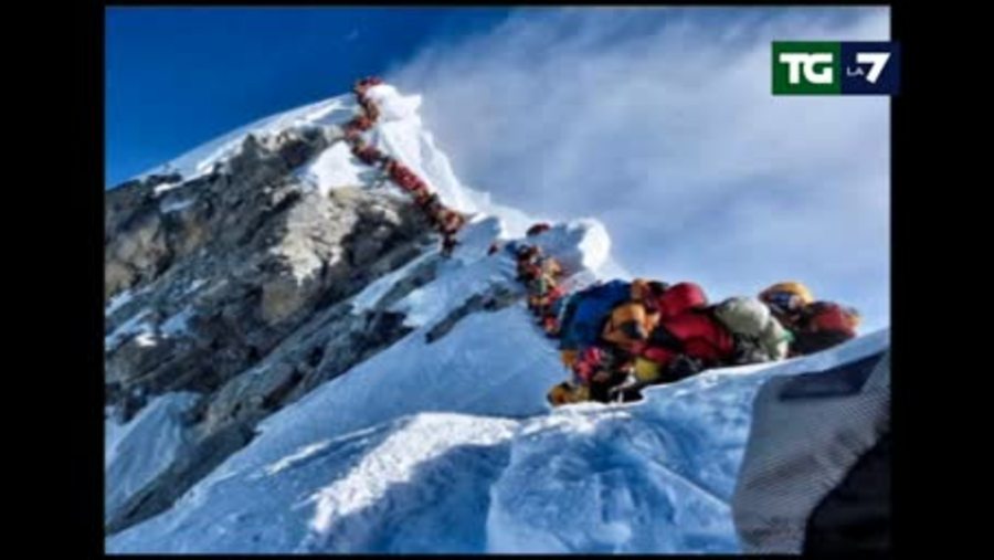 Fila everest store