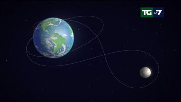 Artemis II, l'astronauta Cristina Koch torna a casa e il suo cane ...