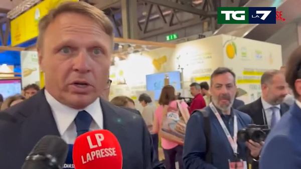 Chi può essere eletto Papa? Maschio, celibe, battezzato: tutti i